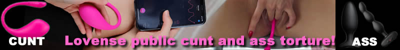 Lovense Control
